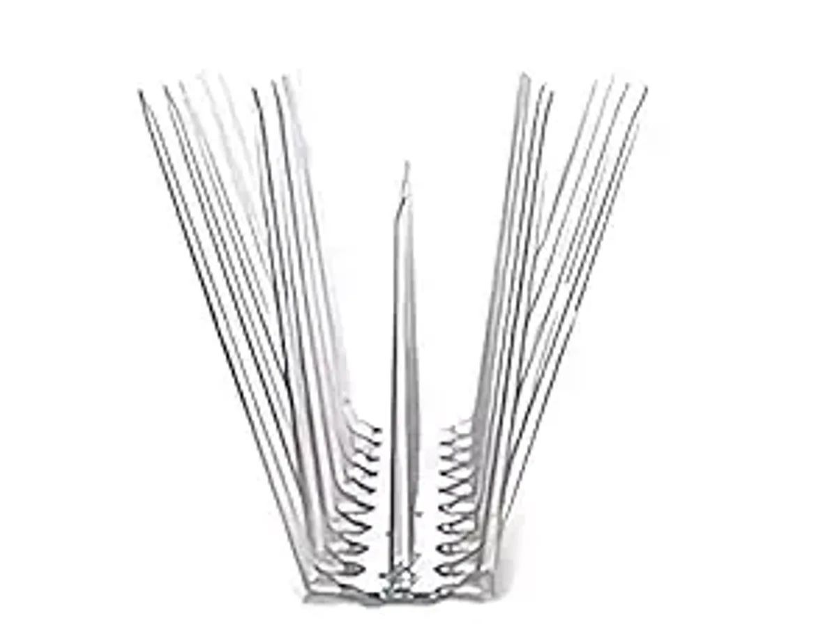 Bird Spikes Installation service by VR Invisible Grills in Bengaluru and Mysuru